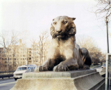 (Cast 1910) Four bronze tigers located at both ends of the Piney Branch Bridge in Georgetown, Washington, D.C.