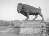 (Cast 1913) 4 bronze buffalos located at both ends of the Q Street Bridge in Georgetown, Washington, D.C.