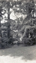 (Cast 1926)  Located in Newton, Ohio, University of Oregon, Eugene, and Brooklyn Botanical Garden, New York, New York